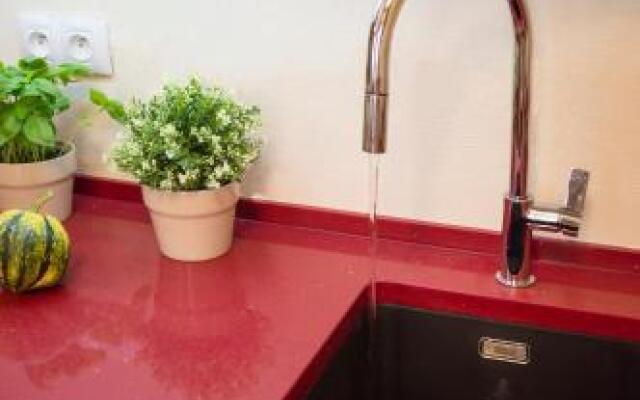 Apartment Za Poricskou branou