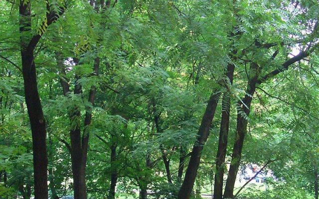 B&B del Parco Lambro