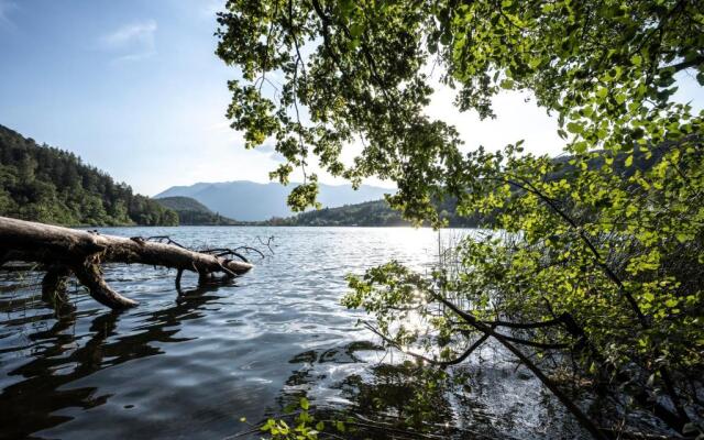 B&B Unterhabsbergerhof