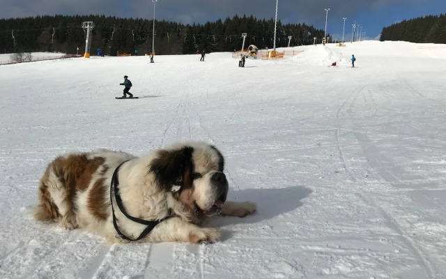 Ferienwohnung Reifberg