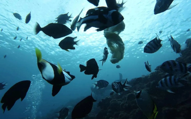 オーシャンリゾート真栄田岬