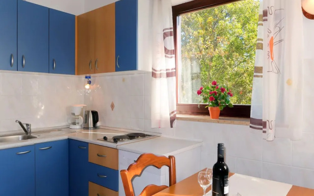 Radmila Sveti Vid Dobrinjski