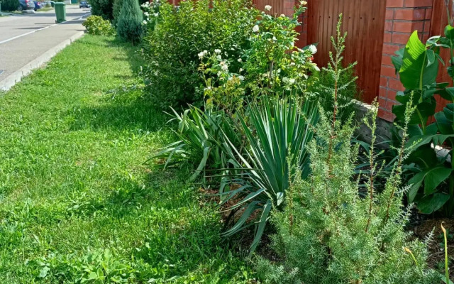 On the Collective 11