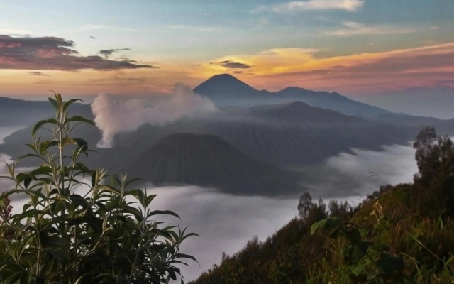 Plataran Bromo