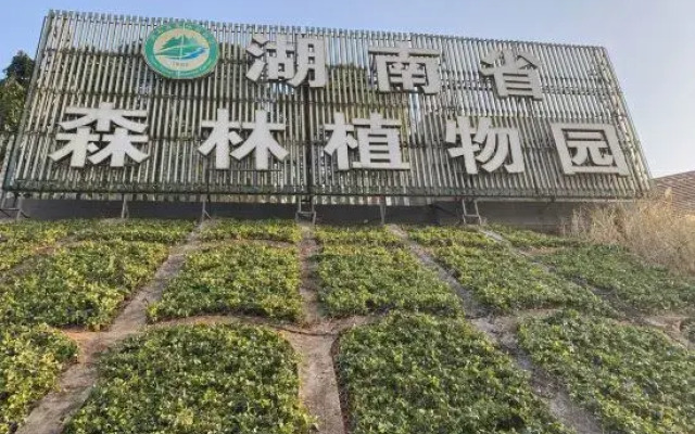 TOWO Shangpin Hotel (Changsha Desiqin Institute of Technology)