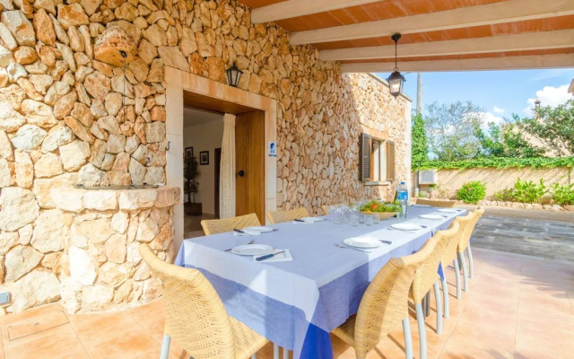 Torre Marina Alga Marina