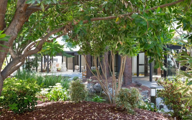 Sheraton Palo Alto Hotel