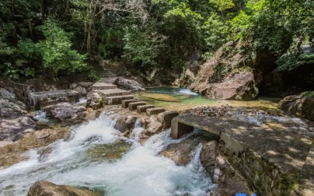 New Taoyuan Mountain Village