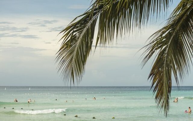 Viva Vacation Club at Viva Wyndham Dominicus Beach