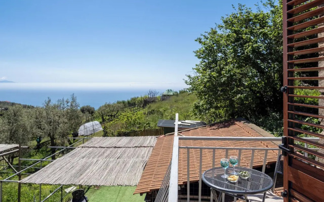 Sky Blue Guesthouse