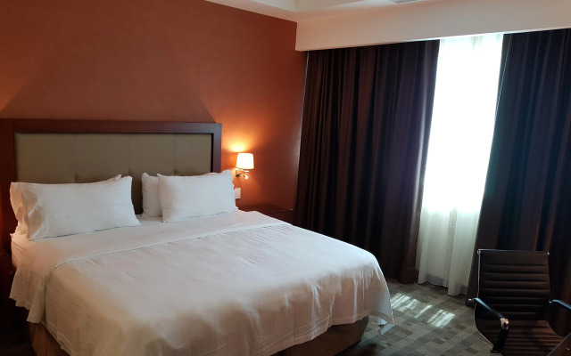 Holiday Inn Leon Plaza Mayor by IHG