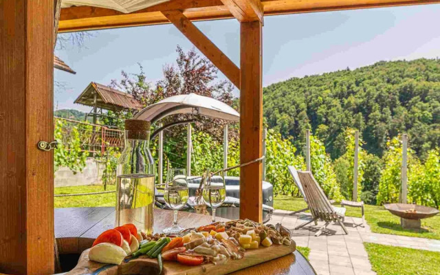 Vineyard cottage Matej
