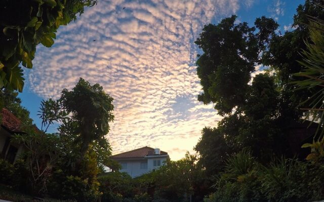 Timbis Homestay Bali