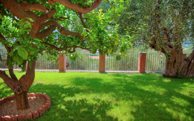 Guest House Luciana