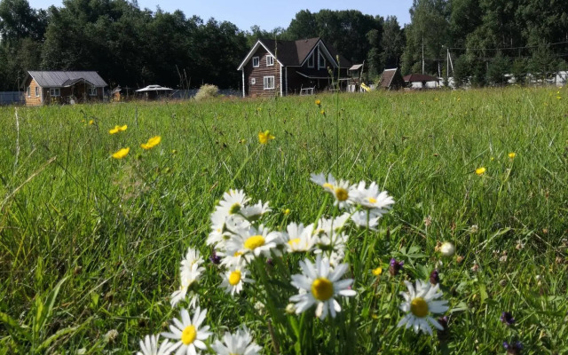 Усадьба Красивая