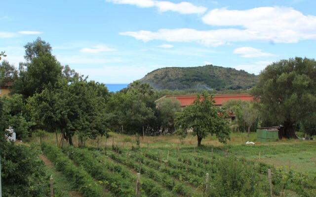 Palinuro Casa Vacanza Melita