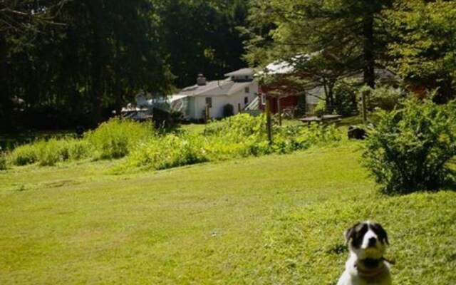 Brook Falls Farm