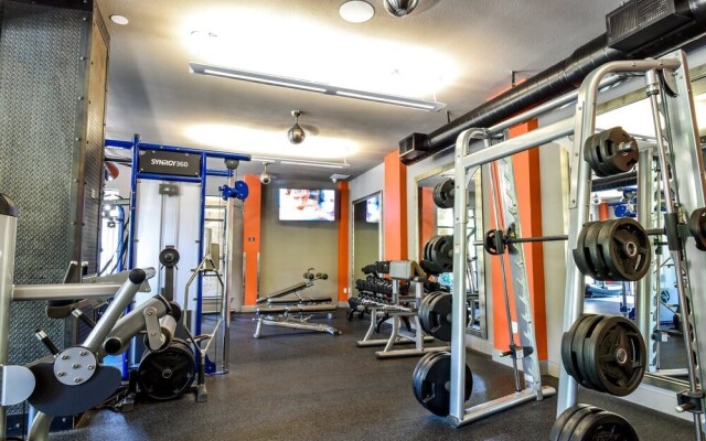 Plano Beautiful Studio Apartment