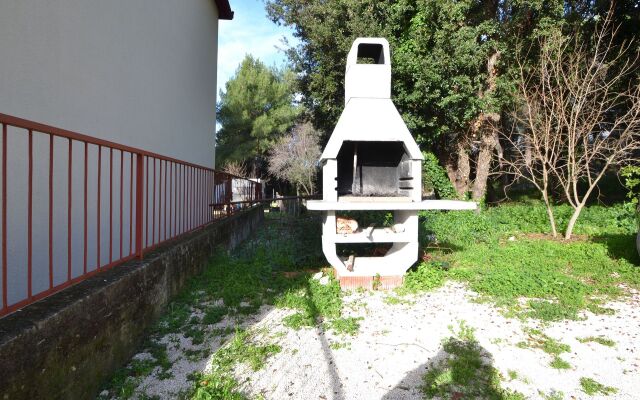 Apartment Martina - 300 m from sea: A2 Sukosan, Zadar riviera