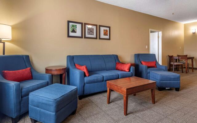 Comfort Inn DFW North-Irving