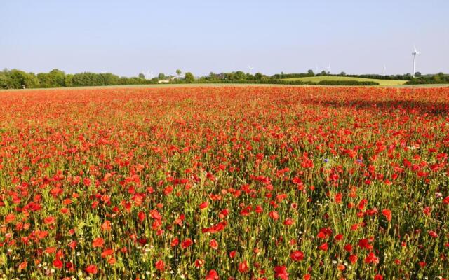 Haus zur Mole - Apt.12