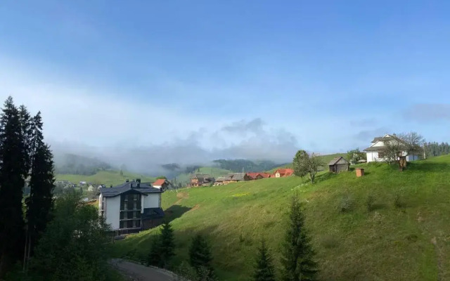 Gora