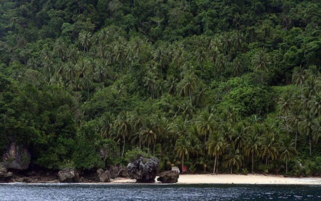 Tarzans Beach Resort