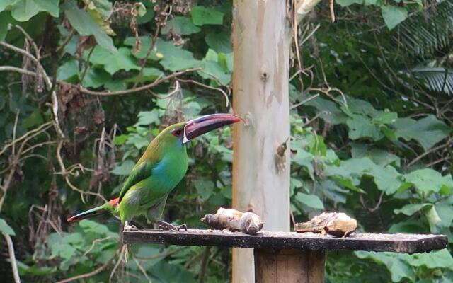 Hotel Campestre Selva Verde