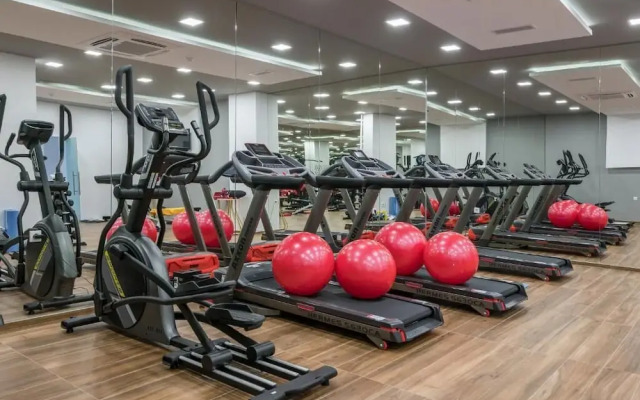 Blue Elephant - Adults Only