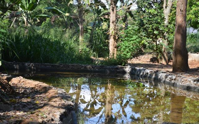 Wild Trails Udawalawe