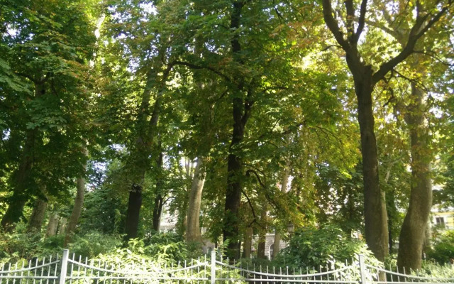 Casa Juli: 70mq-Centro-Trieste