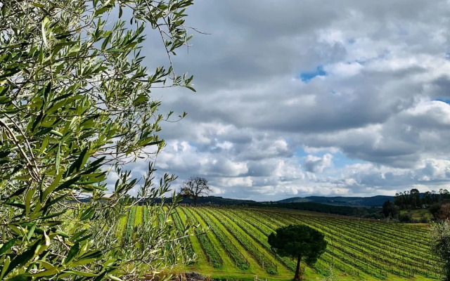 Tenuta Agricola Fraschiera