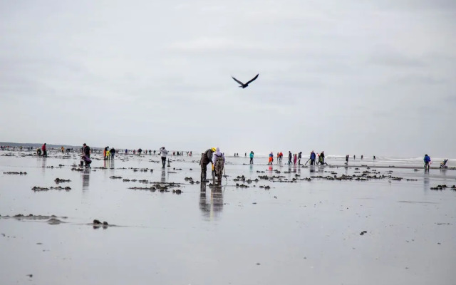 Westport RV Park & Motel