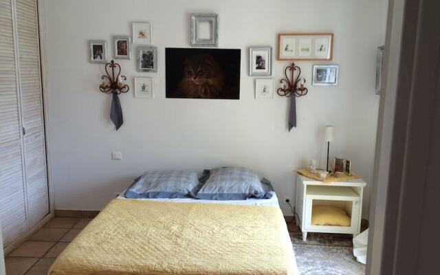 Luxurious Villa With Internet and Private Swimming Pool, Near Grasse