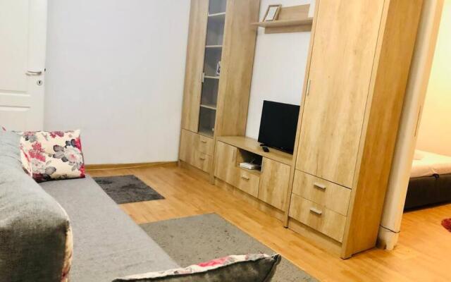 Nice apt near Spitalul Judetean, all you need LR14