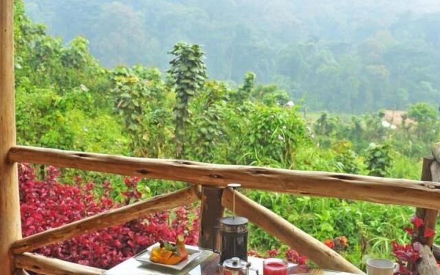 Gorilla Safari Lodge
