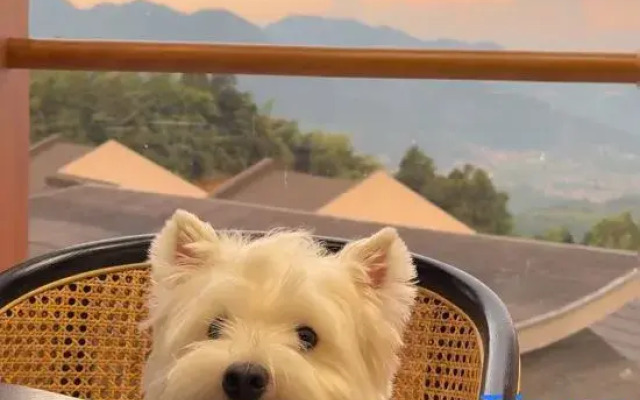 Home2 Suites by Hilton Taizhou Wenling