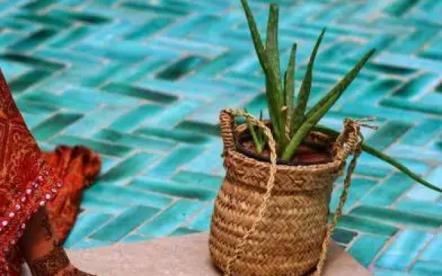 Riad Dollar Des Sables
