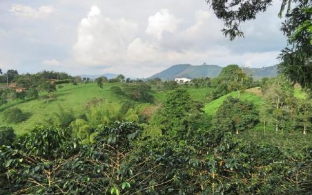 Coffee Trails Finca Las 2mm