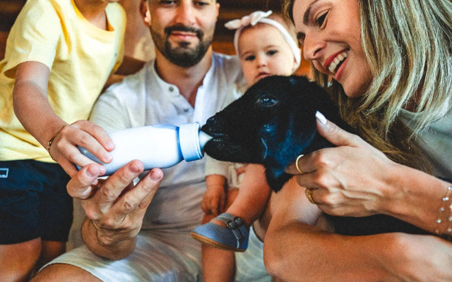 Fazzenda Park Resort