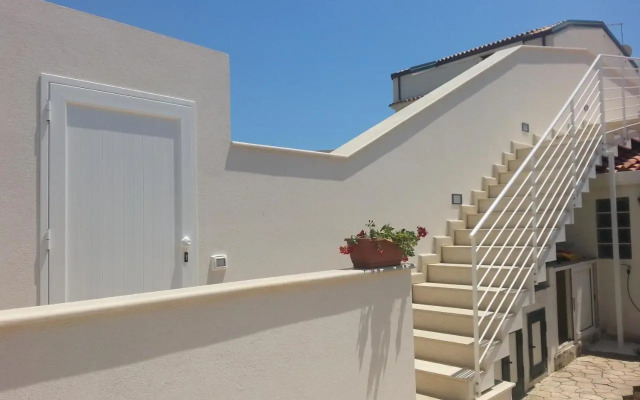 Casa Rok
