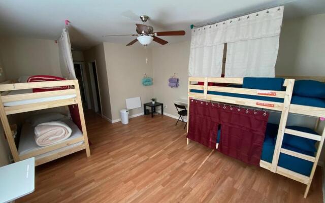 WHOLE Family - Barrette - Hostel