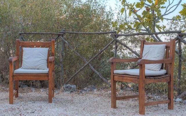 La Lamia 1864 Ostuni by Typney
