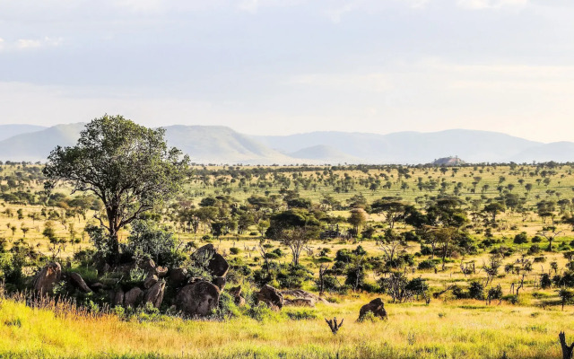 Отель Four Seasons Safari Lodge Serengeti