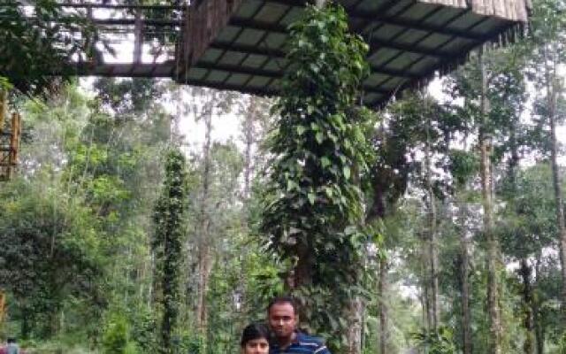 Jungle Jive Tree House Munnar