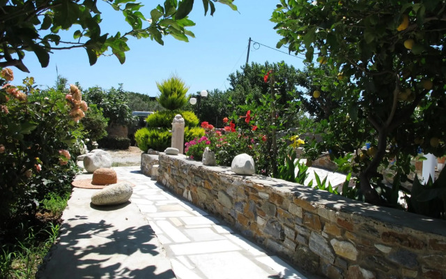 Didymes Studios