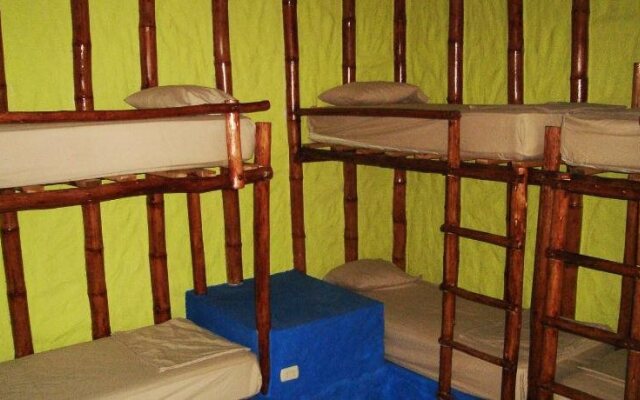 Psygon Surf Camp