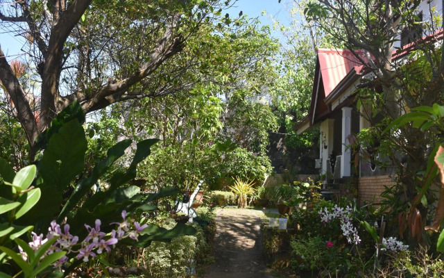 villa 729