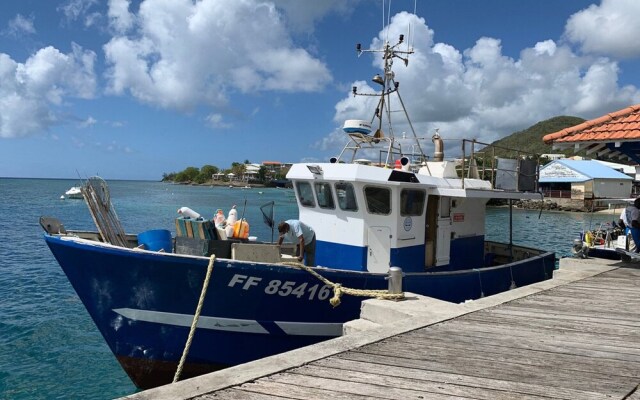 Lady Jane 2 - Catamaran Atypique