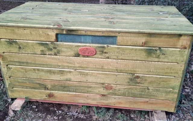 Terra Newen Pucon Family Suites